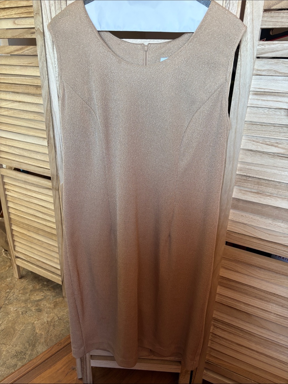 R&M Richards Sleeveless Shimmer Shift Dress in Champagne Gold 14